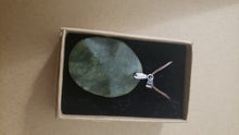 Load image into Gallery viewer, Green Stone Pendants